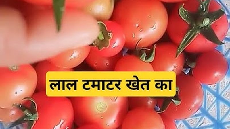 体检套餐，如何根据公司员工需求精准定制？**